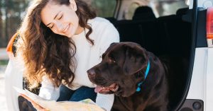 mlada zena so psom v aute studuje zakon o preprave zvierat